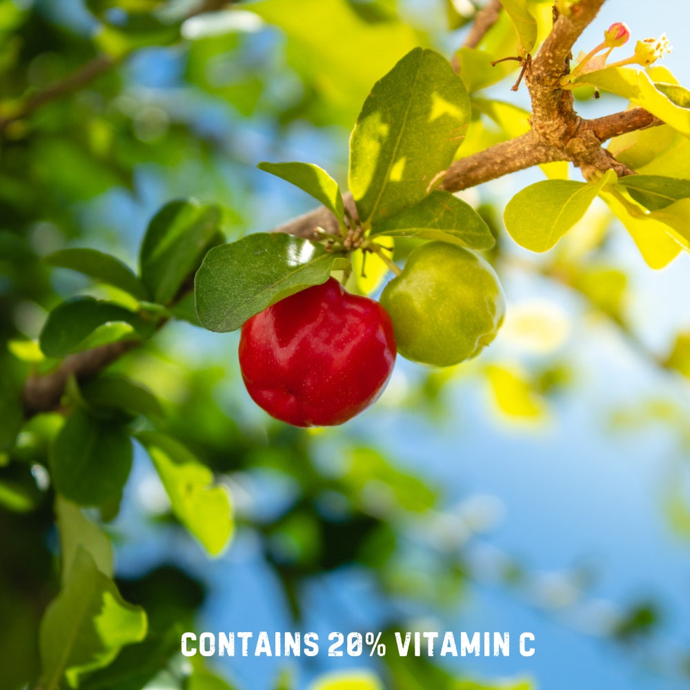 Acerola Cherry Vitamin C Plant Based 500mg 60 capsules